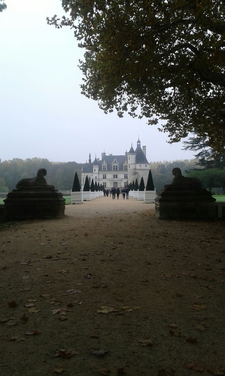Château de Chenonceau avec son allée