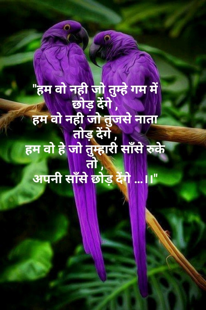 Shayri Rahul Raj