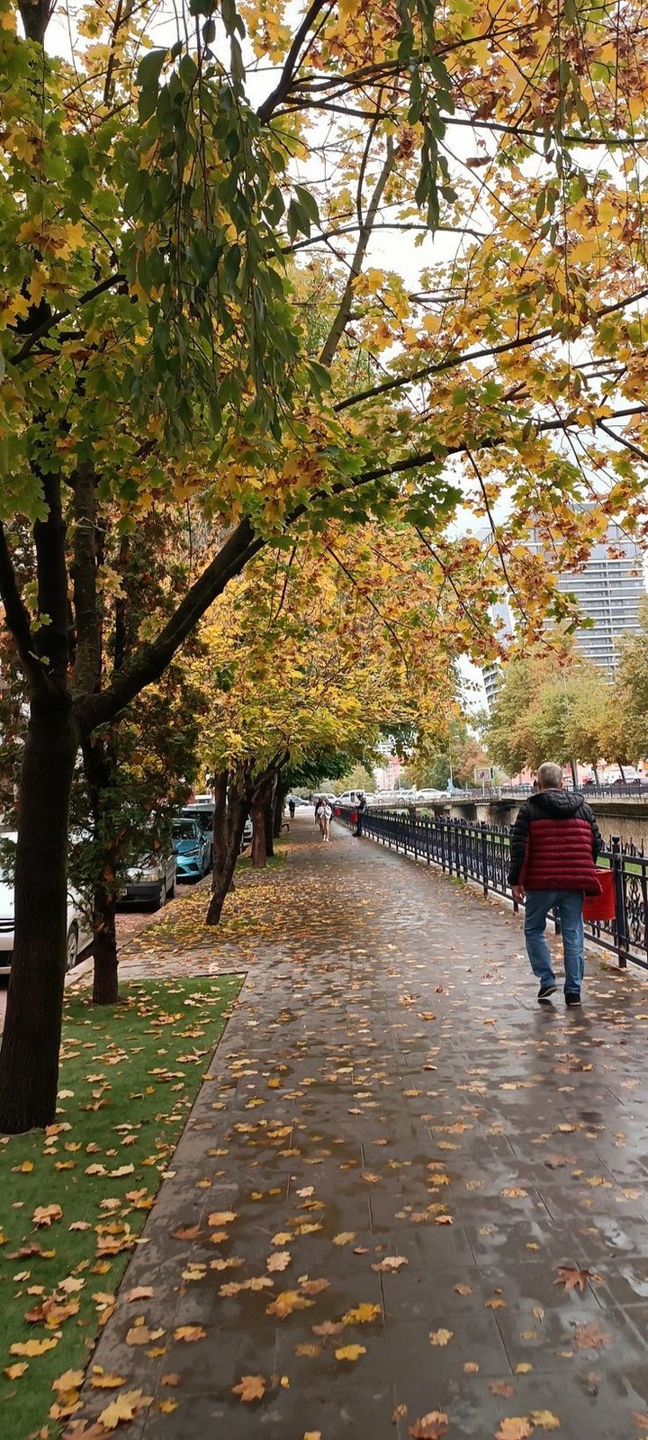 Autumn vibes