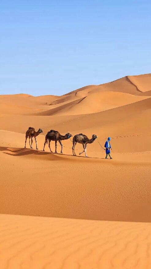 Desert