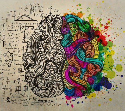 brain