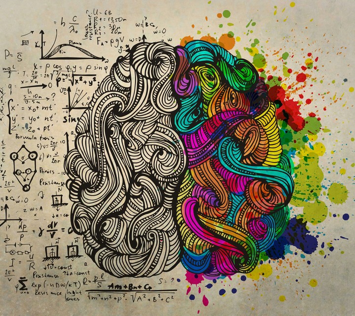 brain