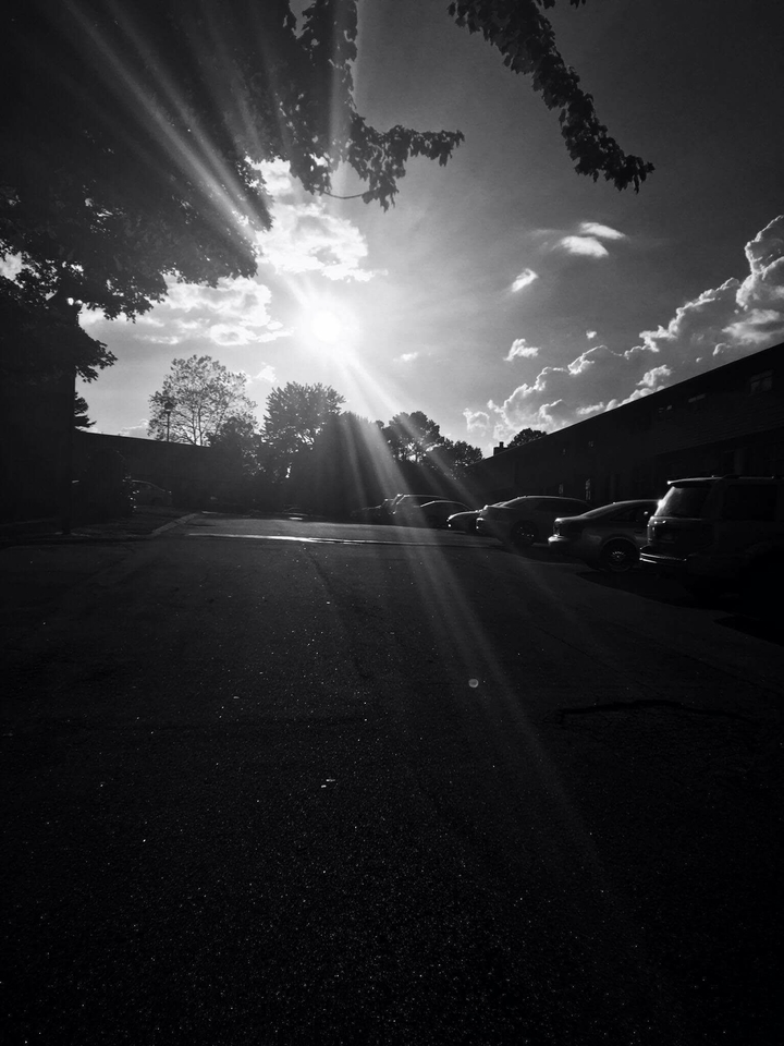 black and white sunlight