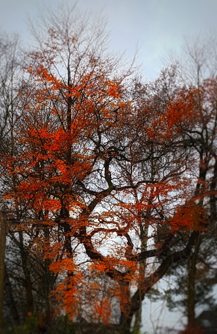 Autumn