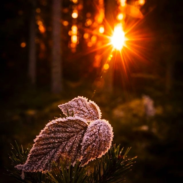 Y❤️ Warming morning sun