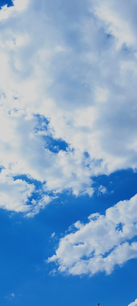 Autumn sky (click)