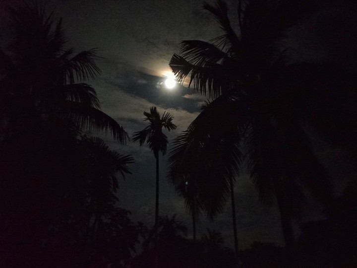 The moon is a loyal companion.