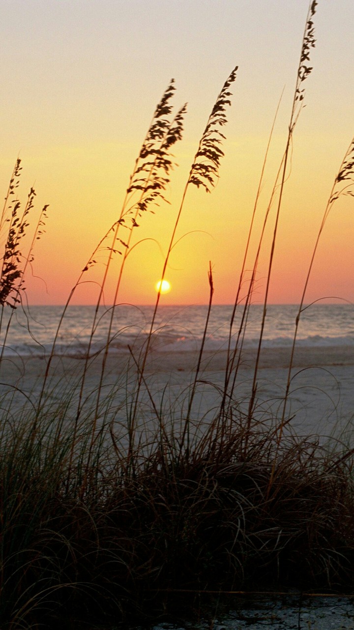 shoreline