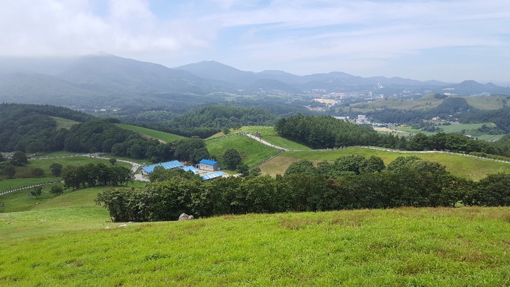 날 아 간 다