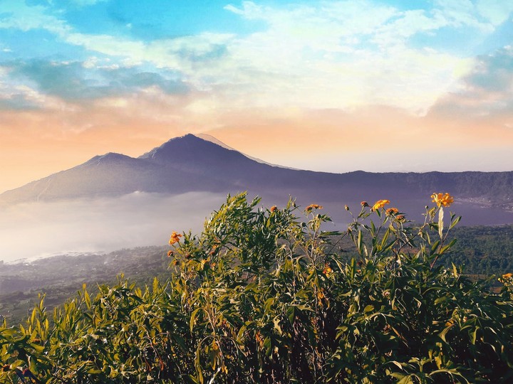 Travel to Bali