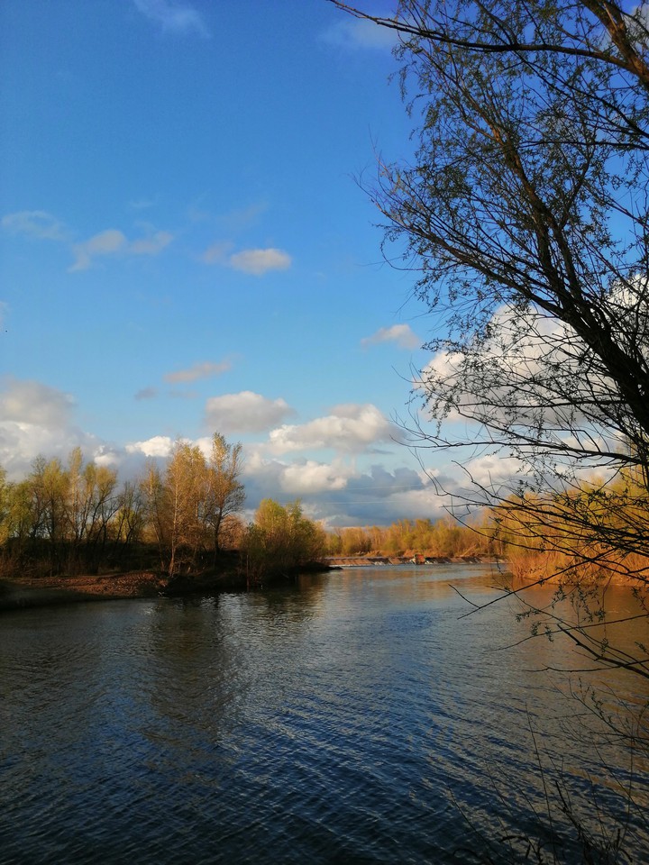That's finally spring n.2
