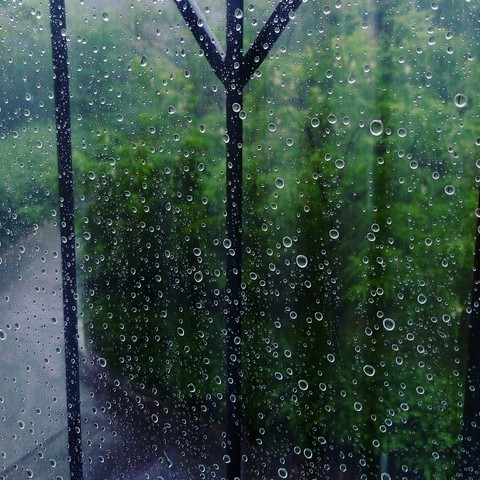 Rainy day