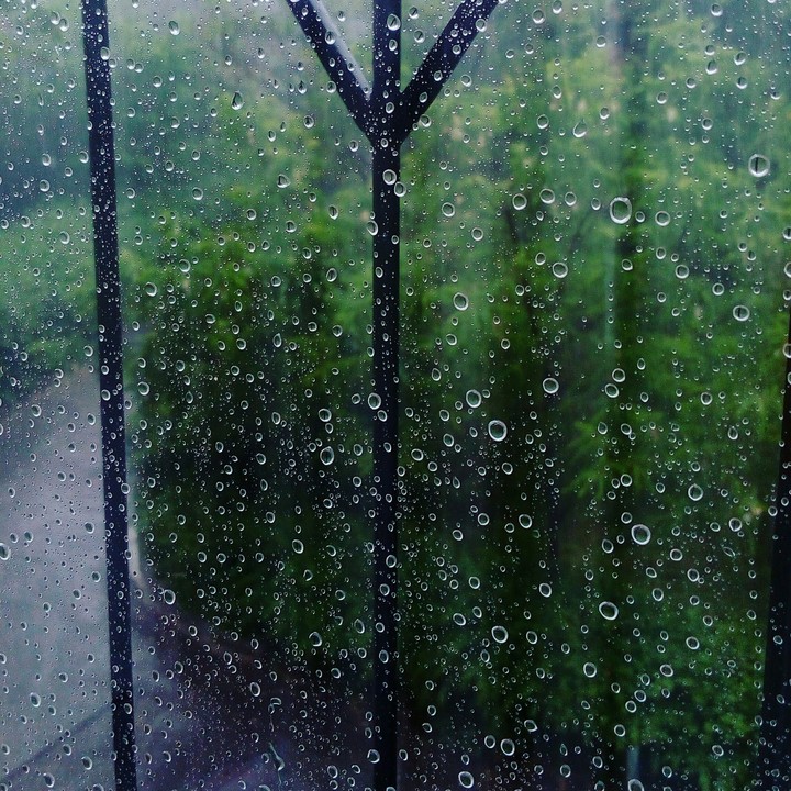 Rainy day