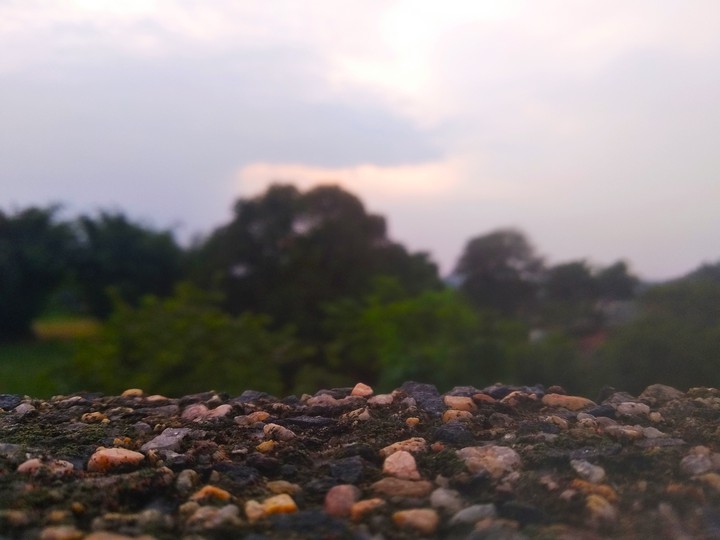 nature beauty