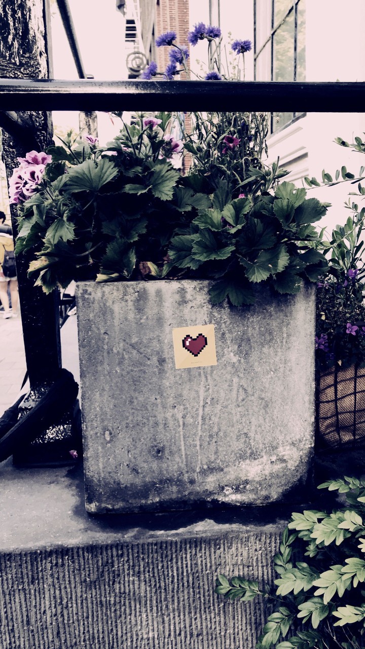 Love