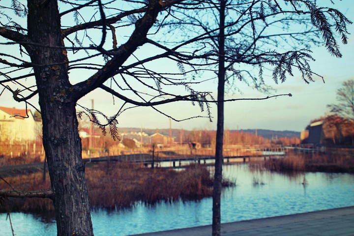 Wassergarten Landsweiler Reden