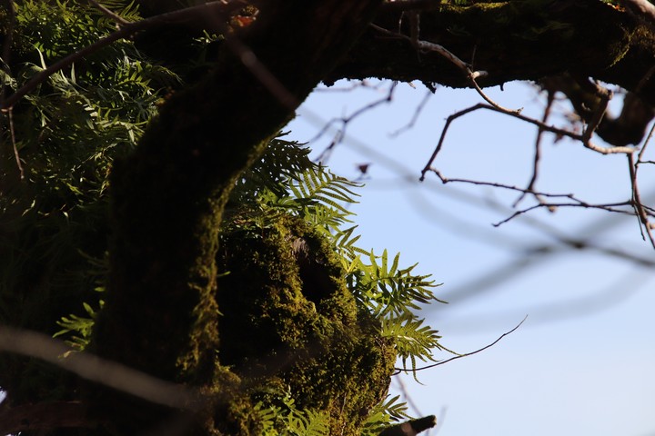 in the woods...