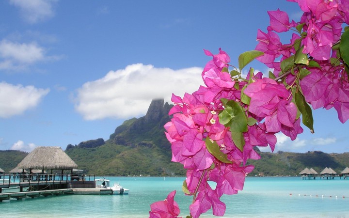 BOUGAINVILLE
