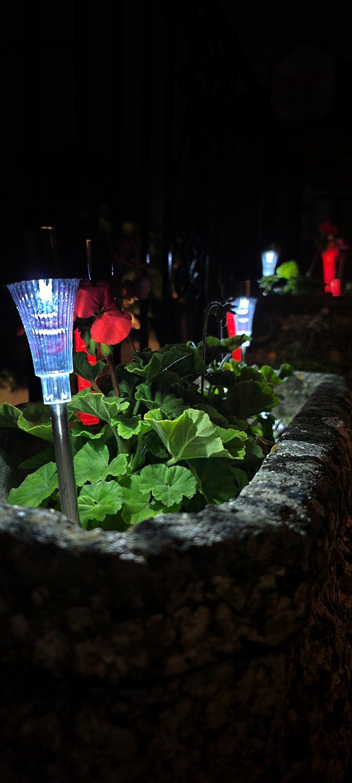 flower pot