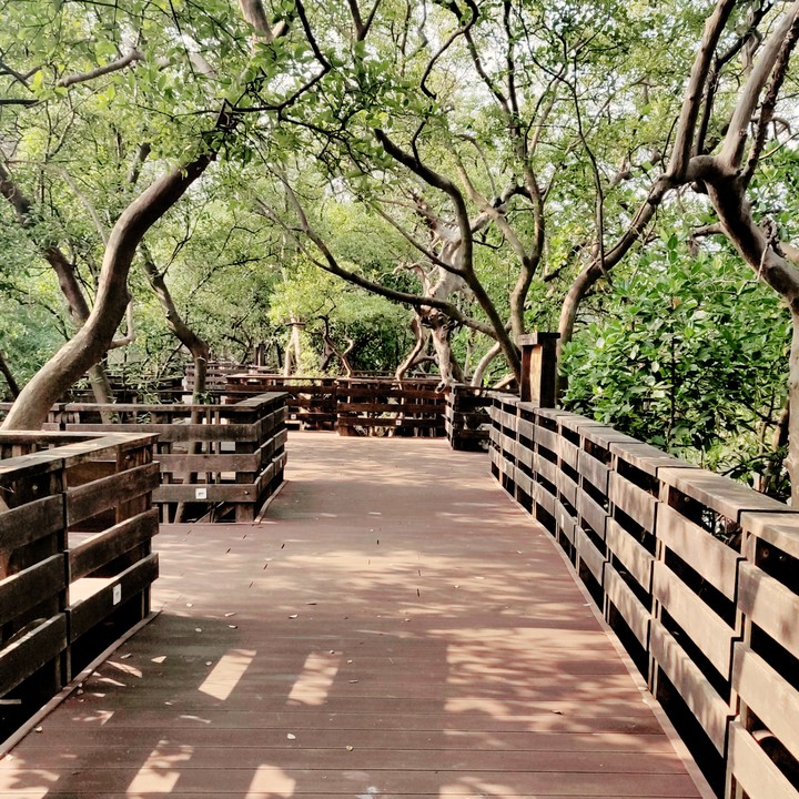 walk