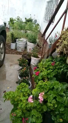 lluvia