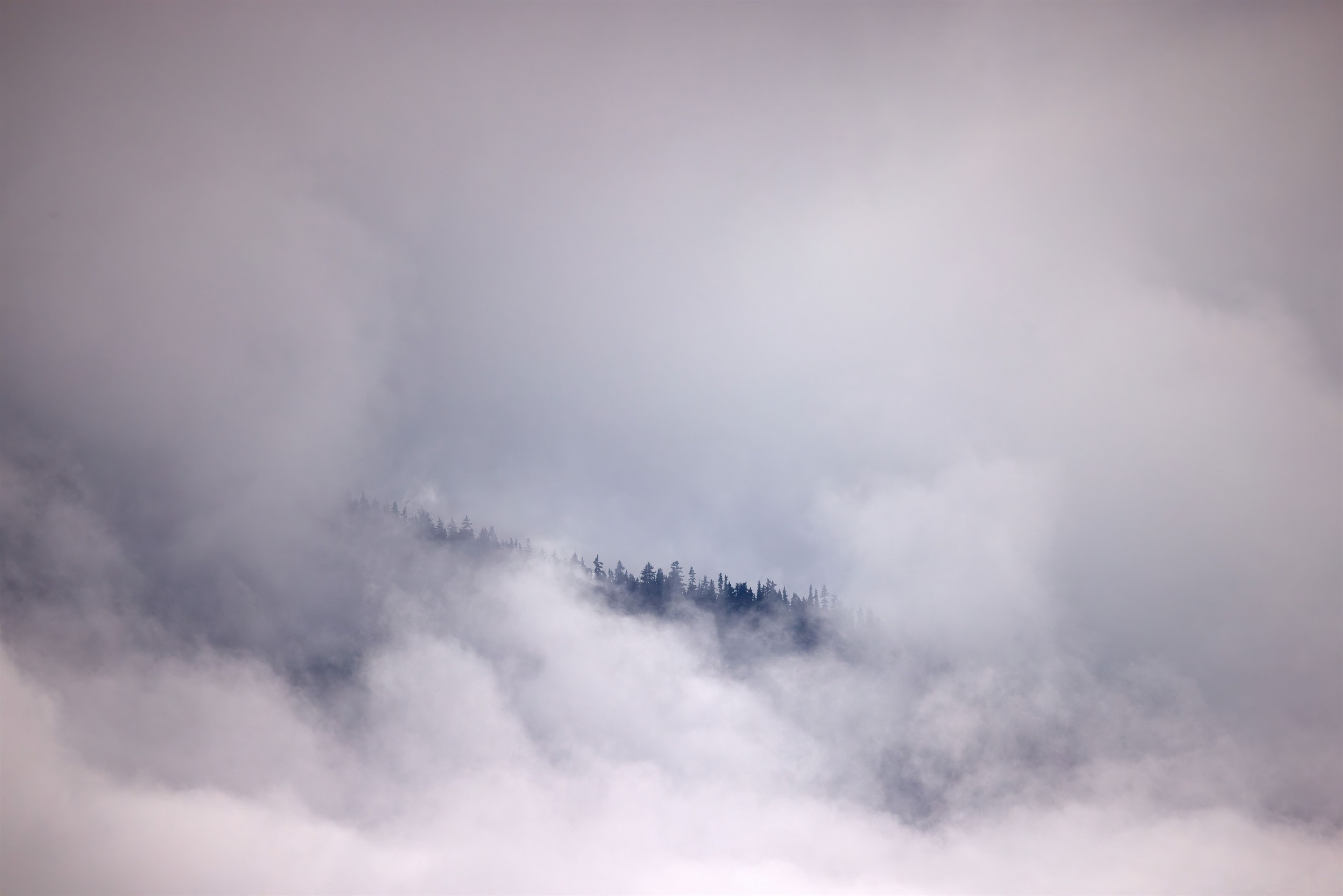 тапети haze, morning