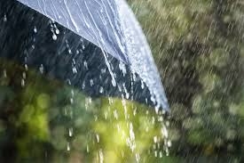 umbrella#rainday