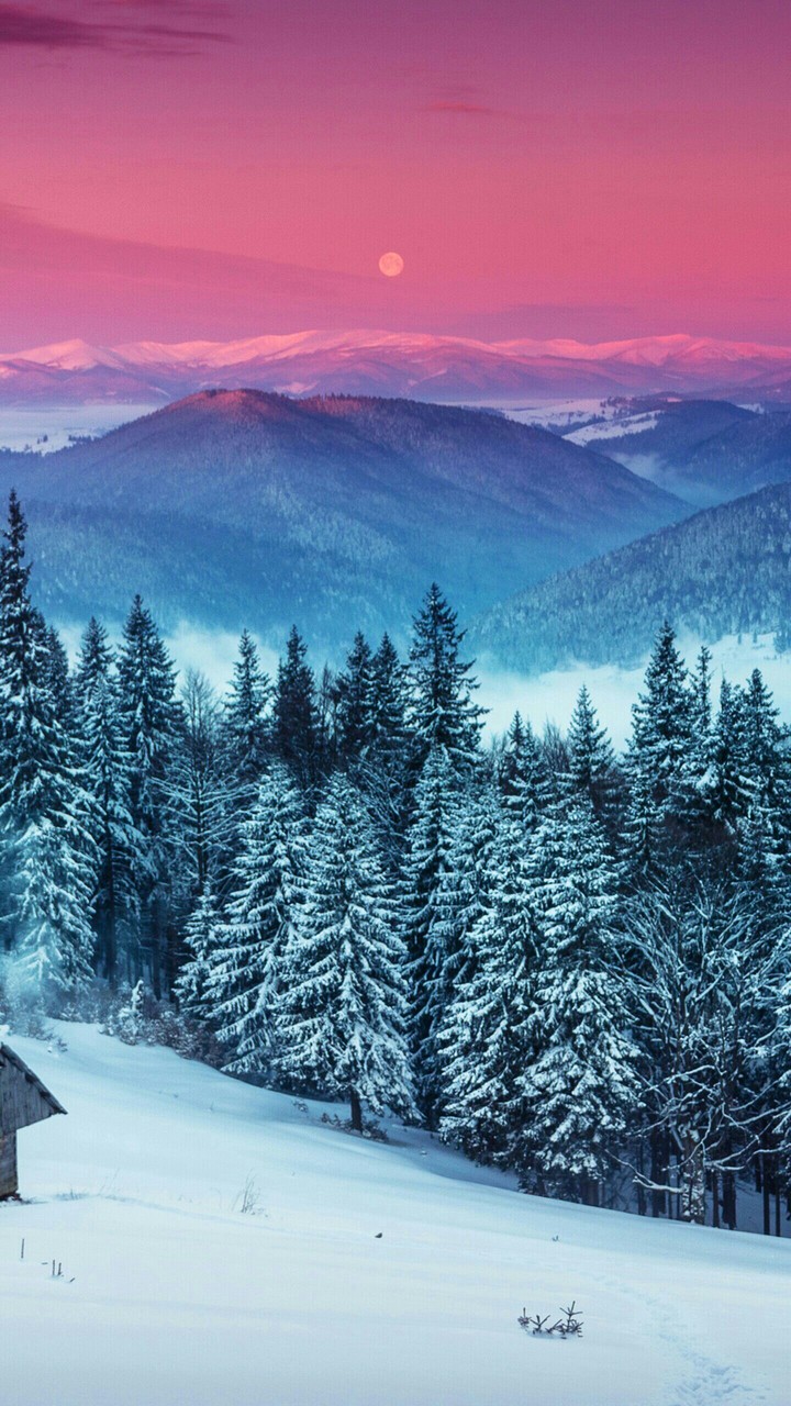 Snow Hills