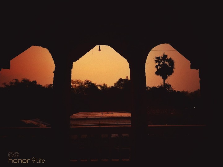 Morning Sun!!