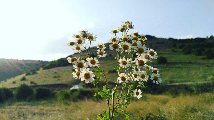 for you