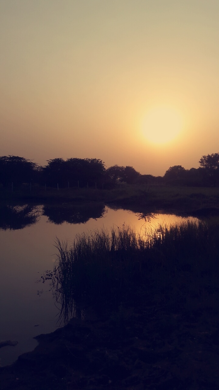 sunset