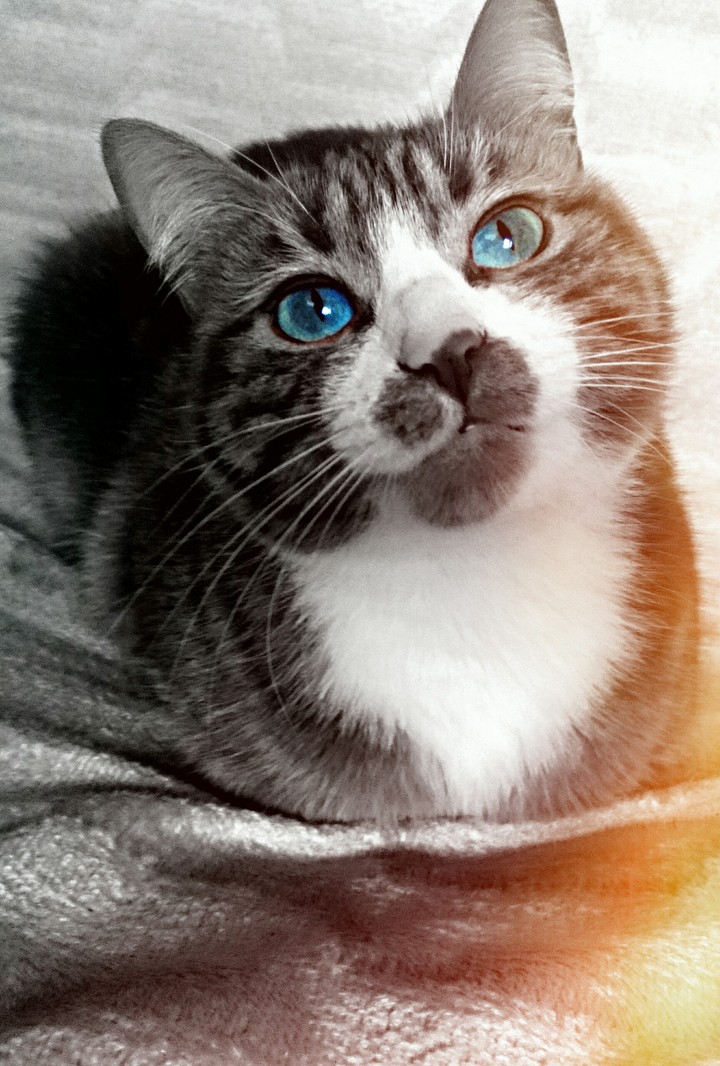 Blu&Bla