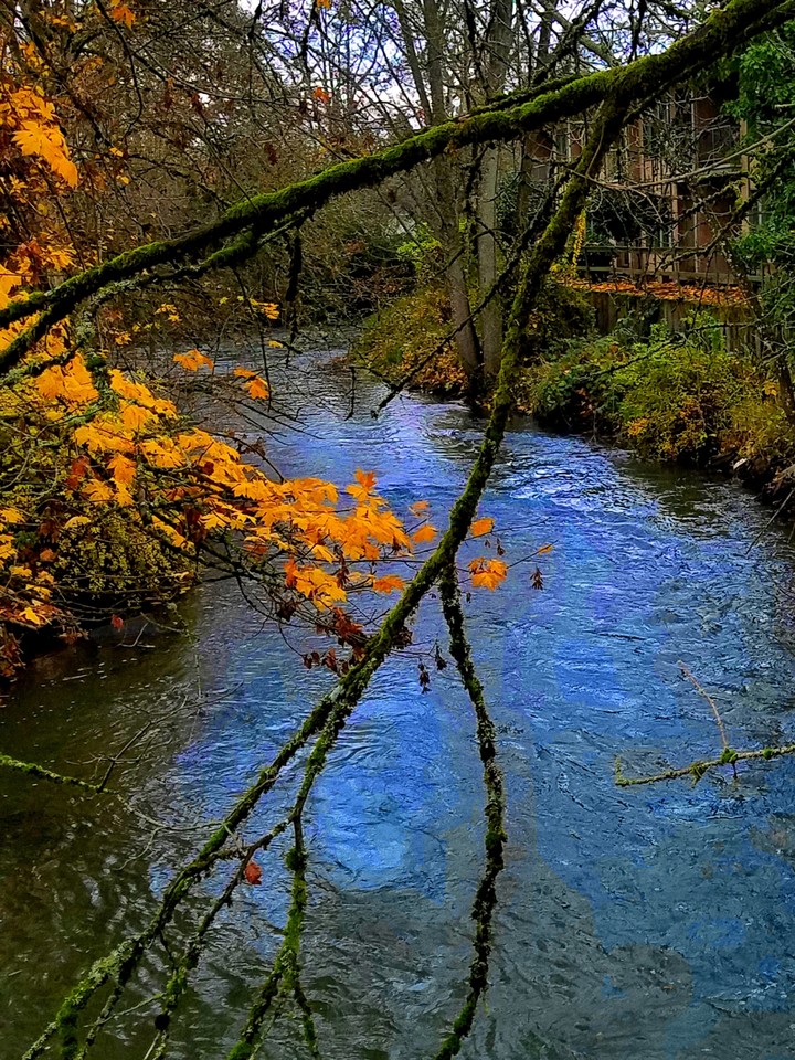 Little River