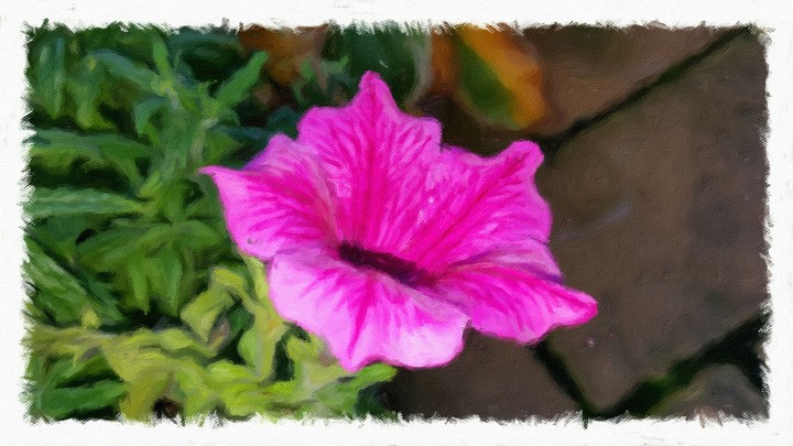 A painted pink flower.