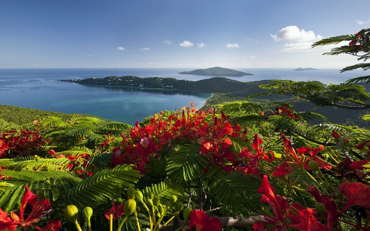 Nature's Beauty