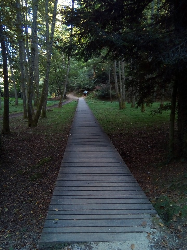 Path