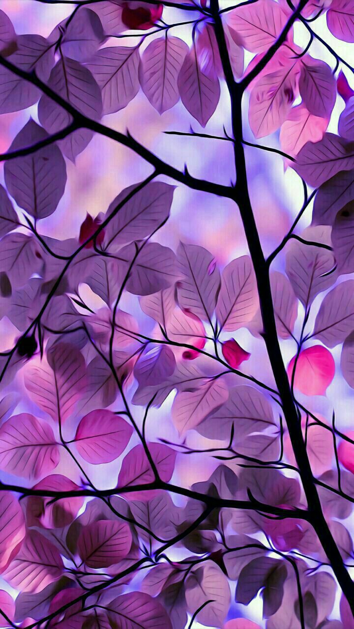 wall