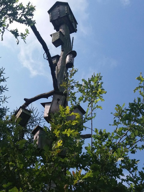 Birdhouse