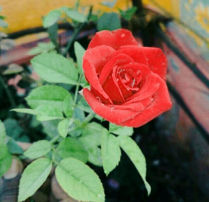 Take by me.......