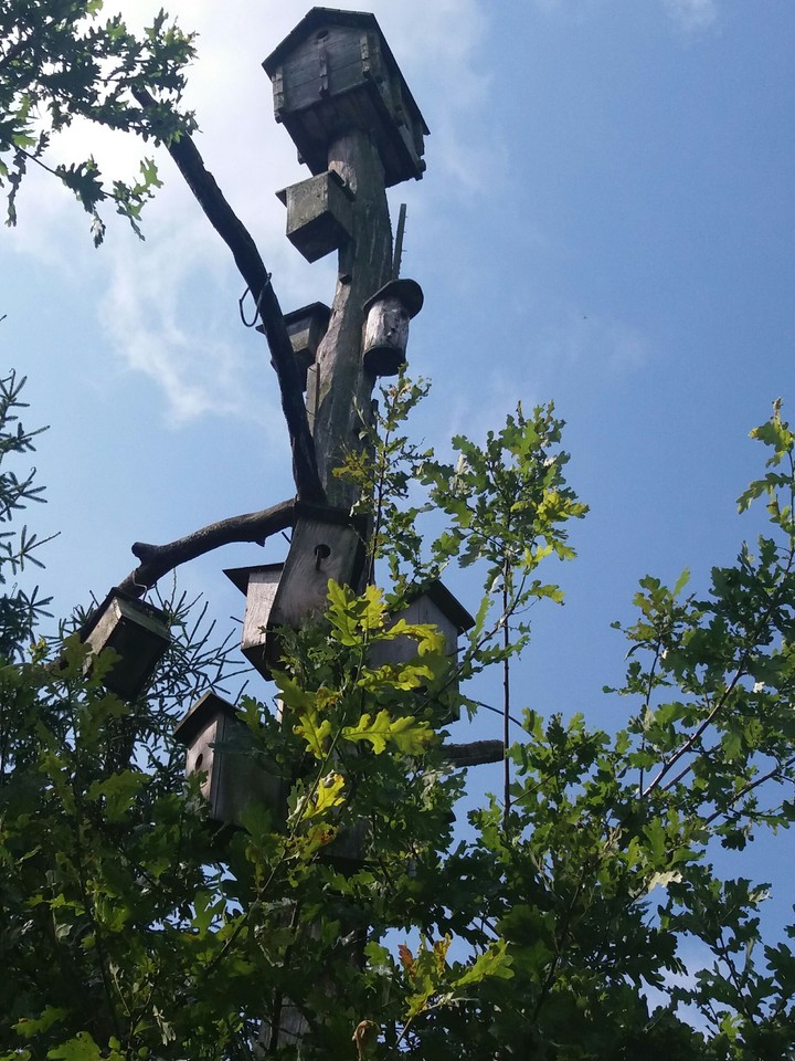 Birdhouse