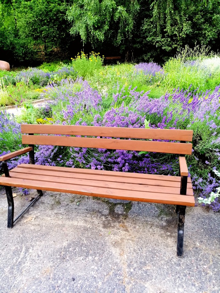 bench in the park