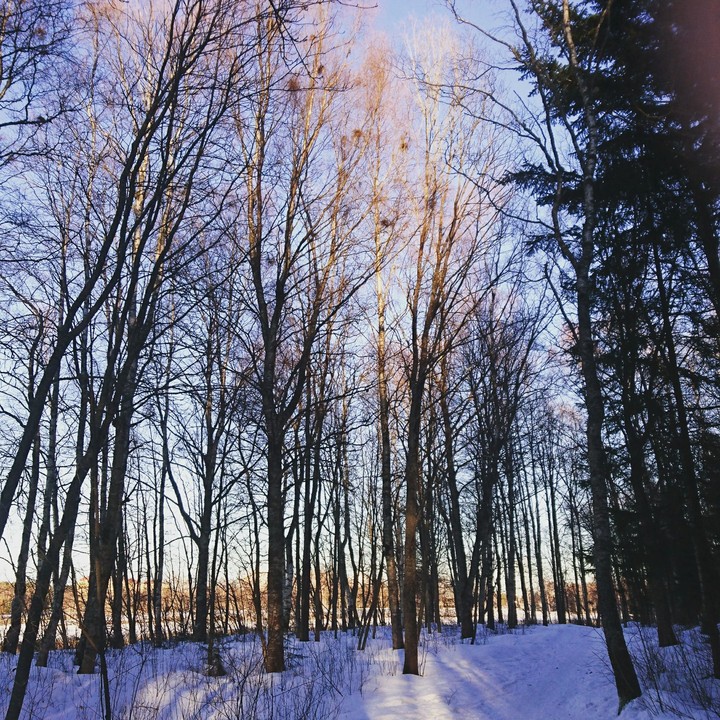 Nature in Oulu