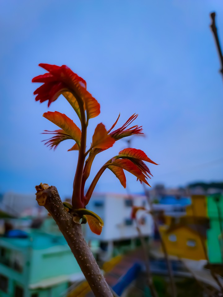 가죽