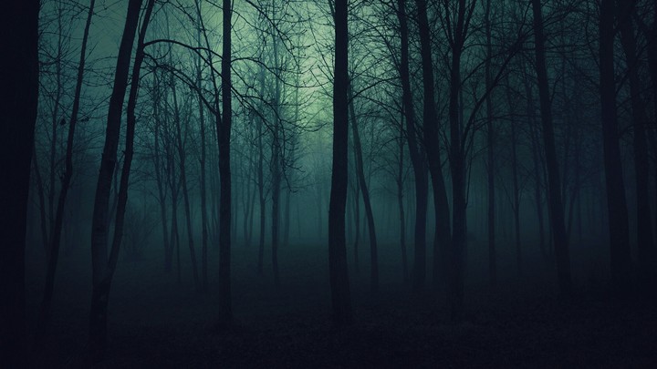 night wood
