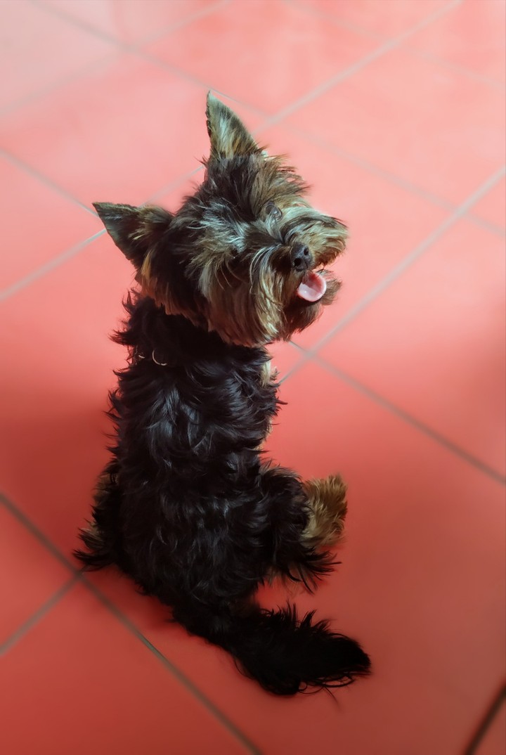 hello!