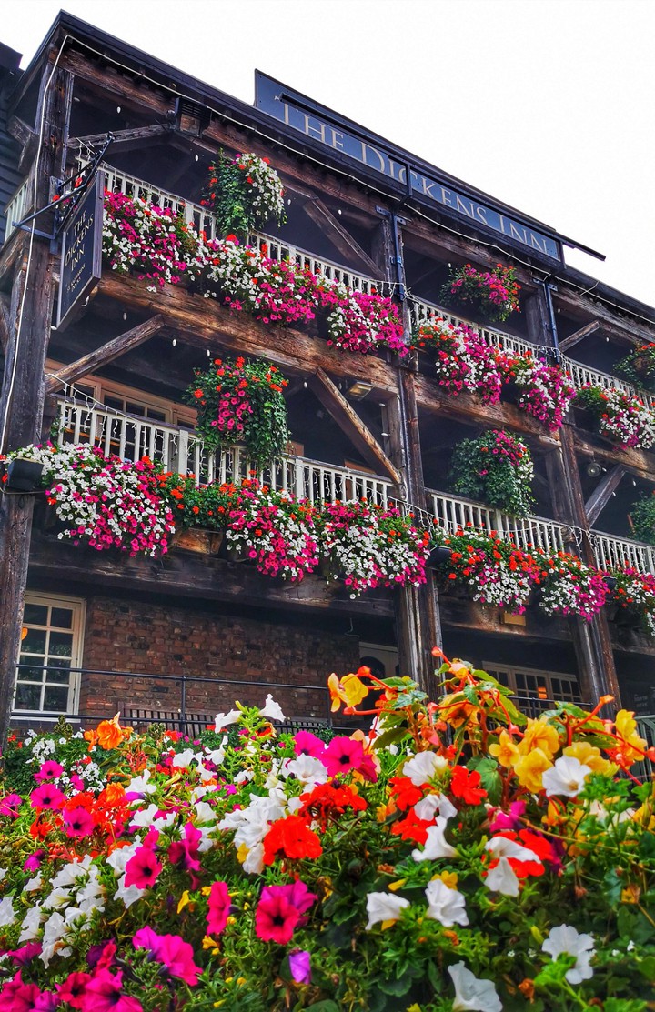 Flowers everywhere