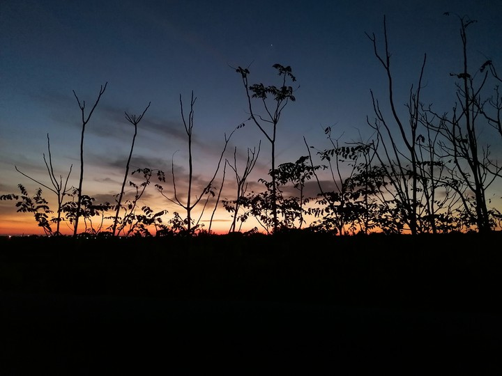 Sunrise