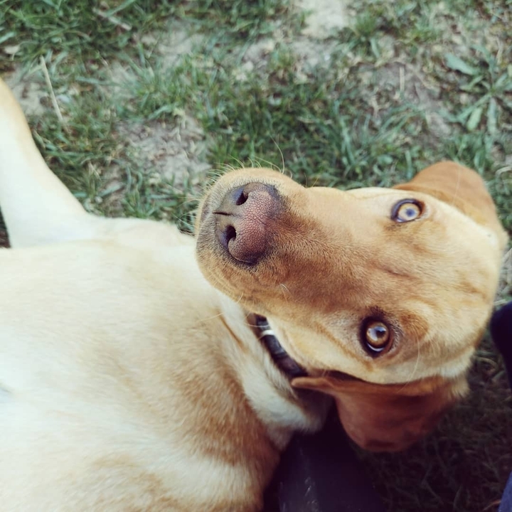 ?