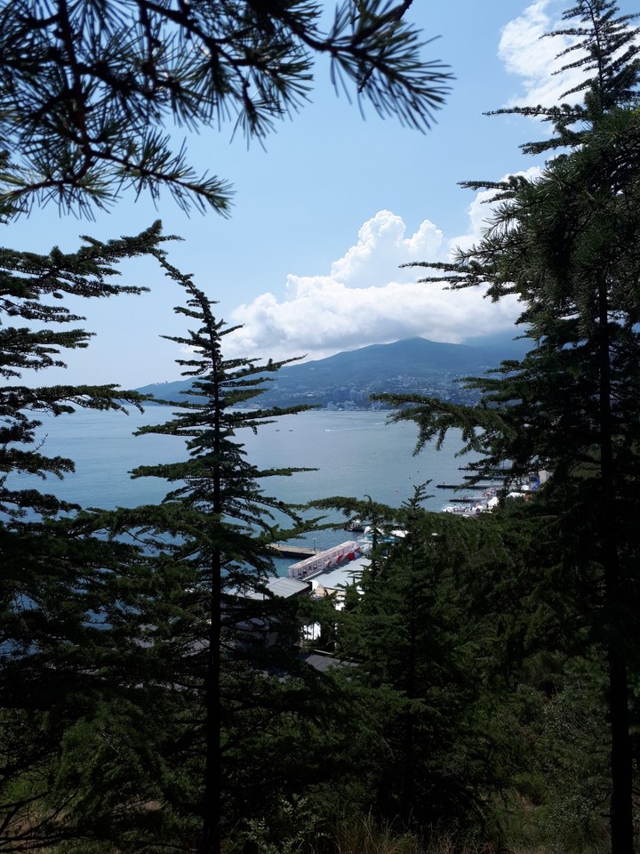 Hello, Sea