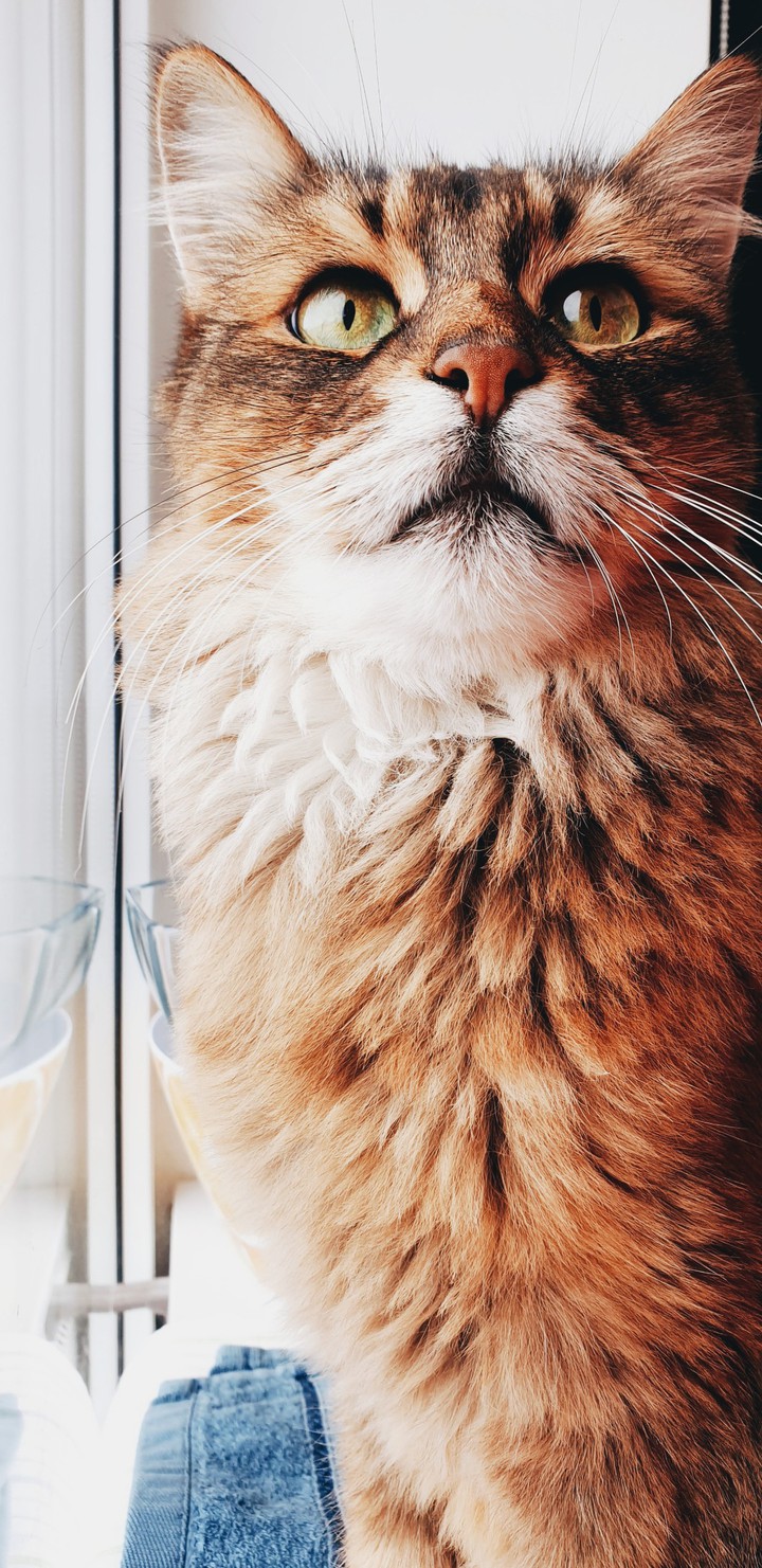 Leonard